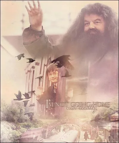 Dans la première partie de "Harry Potter et les Reliques de la Mort", nous voyons Harry et Hagrid entrés en trombe sous un tunnel. Sachez, chers fans, que cette scène fut tournée sous deux tunnels différents. Comme j'ai la mémoire courte, pourriez-vous me dire lesquels ?