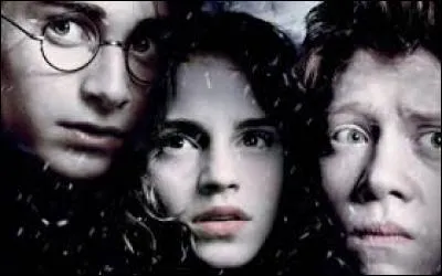 Pour plaisanter, certaines personnes n'hésitent pas à se faire des petites blagues drôles. Durant le tournage de "Harry Potter et le Prisonnier d'Azkaban", des membres de l'équipe ont fait une blague hilarante à Daniel Radcliffe. N'ayant pas une forte mémoire, saurez-vous me donner le nom des auteurs ?
