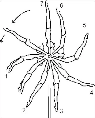 Quel est ce mouvement ?