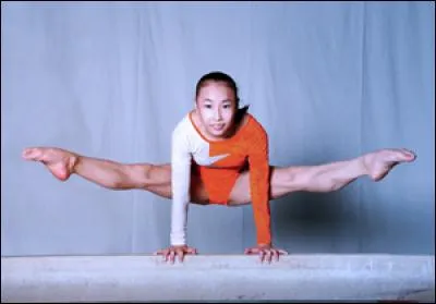 Quel est cet élément ?