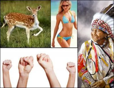 Je m'appelle Jean-François Grandin et j'ai rejoint les étoiles le 11 octobre 2012 à 71 ans. Je suis :