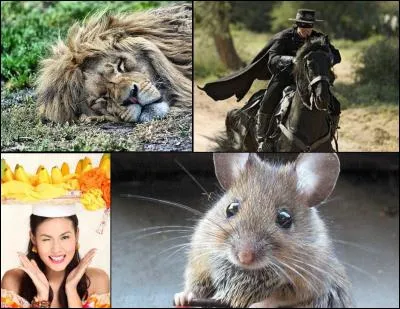 A 90 ans, j'ai fermé mes yeux à la lumière le 13 février 2008. Je suis :