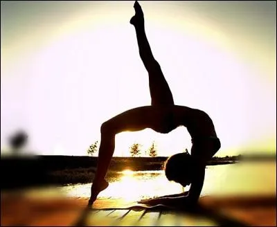 Combien coûte à peu près, un justaucorps de GRS ?