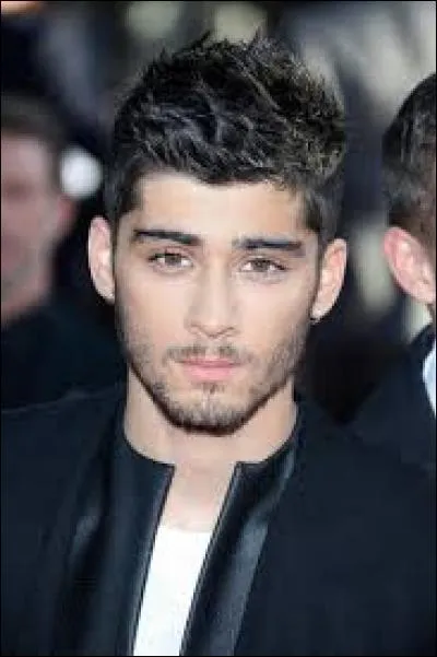 Combien Zayn a-t-il de surs ?