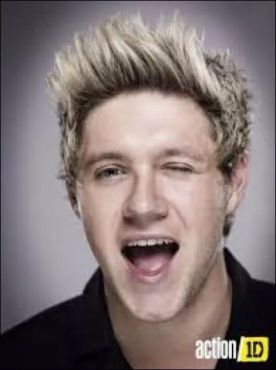 Comment se nomme le frère de Niall ?