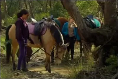 Dans l'épisode 12, par quoi ont été empoisonnés les chevaux ?