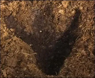 Dans l'épisode 14, comment s'appelle la créature que Scooter a inventée ?