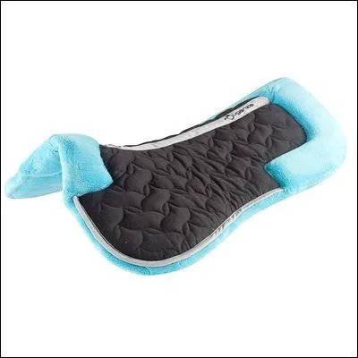 Quel est l'équipement visible sur la photo ?