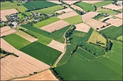 Quel mois voit le déroulement des Rencontres Trans Musicales ?