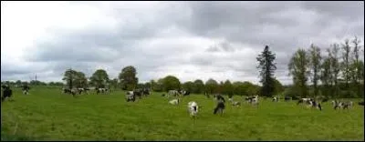 Quelle est la langue traditionnelle de ce département ?