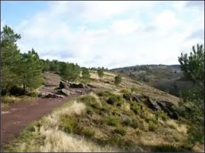 Quel est son numéro ?