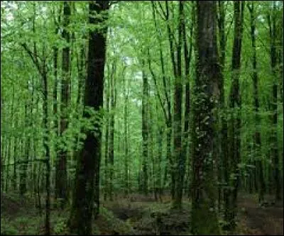 Combien d'arrondissements trouve-t-on dans ce département ?