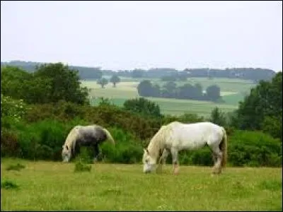 Quel insecte est considéré comme le symbole de ce département ?