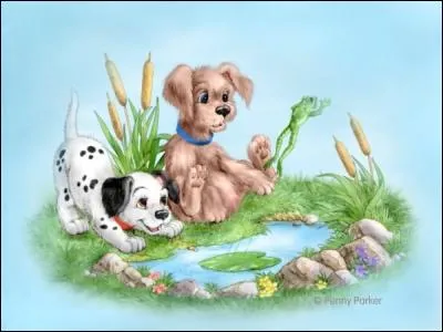 Que regardent les deux chiens ?