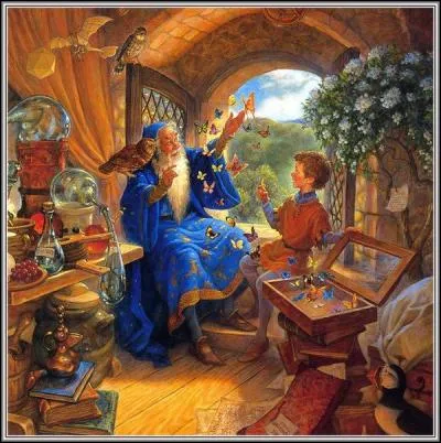 Combien de chouettes voit-on sur cette image ?