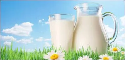 Parmi les types de lait proposés, lequel est le plus gras ?