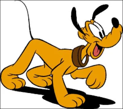 Parmi ces affirmations sur le chien Pluto de Disney, laquelle est fausse ?