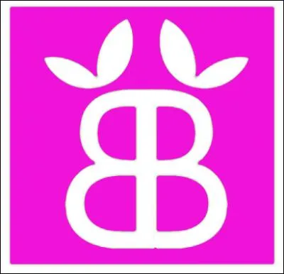 Celui-ci est un nouveau-n&eacute; (2015) : que veut-il dire ?