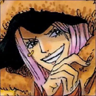 Quel est le pouvoir de Jewelry Bonney ?