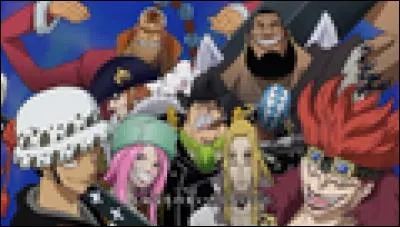 Quel est l'équipage (hormis celui au Chapeau de paille) dont deux membres font partie des Supernovae ?