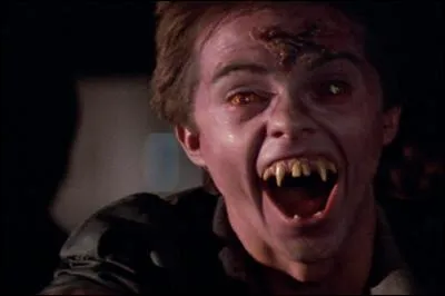 Quelle est la phrase prononcée par Ed, à la fin du film ?