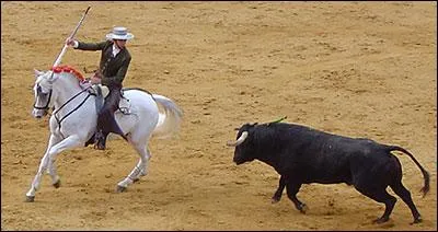 Je conserve le souvenir d'une minable corrida à laquelle j'ai assisté à Figueras. Quel est le nom du cavalier chargé de piquer le taureau lors du premier tercio ?