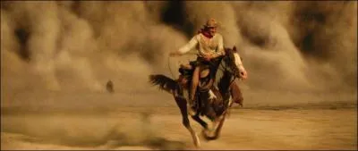 Quelle est la race d'Hidalgo ?