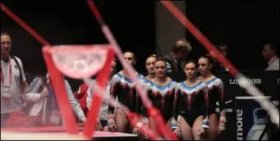 Pour quelle occasion ont-elles porté ce justaucorps ?