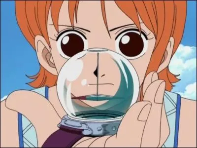 Comment Nami se procure-t-elle son premier Log Pose ?