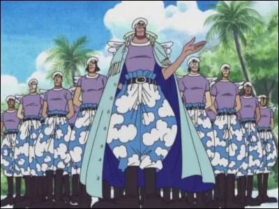 Combien de berrys reste-t-il à l'équipage au moment de la bataille contre les bérets blancs, sur l'île Céleste.