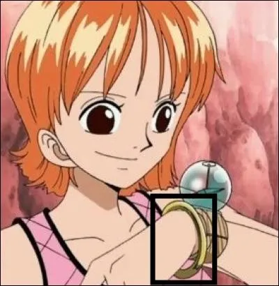 Qui a donné à Nami le bracelet qu'elle porte au poignet ?