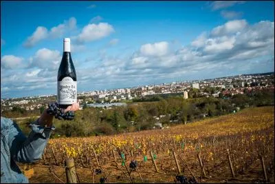 Quel est ce vin de Bourgogne produit sur la commune de Dijon qui tire son nom du fait que le lieu est très pentu, ce qui permettait d'avoir des vues intéressantes sur les vigneronnes ?