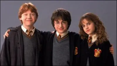 Qui sont les deux meilleurs amis de Harry ?