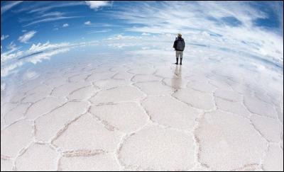 Cet endroit est situé sur le haut plateau du sud-ouest de la Bolivie, il est le plus vaste désert du monde. De quoi est constitué ce désert ?