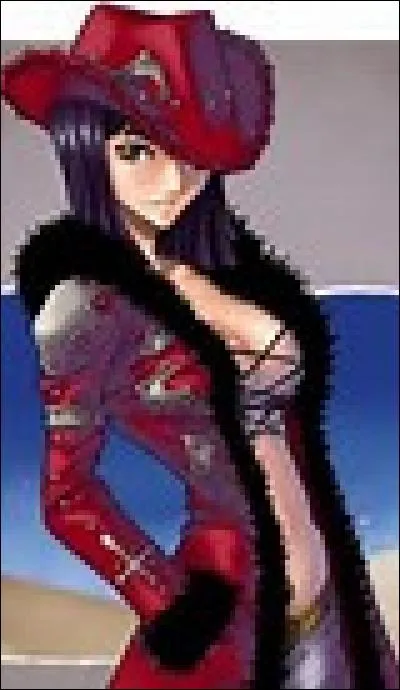 Quelle prime Nico Robin a-t-elle obtenue après avoir abattu plusieurs navires de la Marine ?