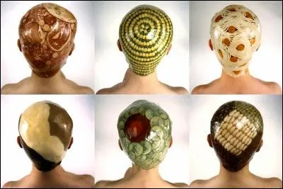 De quoi ces têtes sont-elles recouvertes ?