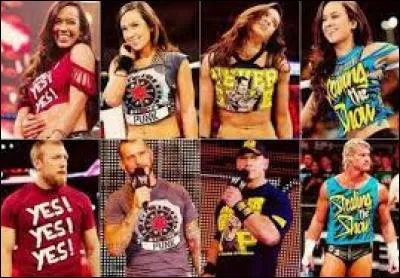 Dans la vraie vie, avec qui AJ Lee est-elle mariée ?