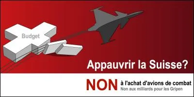 Toute loi votée par le parlement est soumise au référendum facultatif. Tout citoyen s'opposant à cette loi peut lancer un référendum. Il aboutit si 50 000 signatures sont recueillies dans un délai de