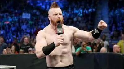 Qui a affronté Sheamus à TLC 2015 ?