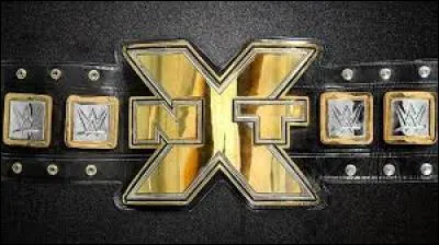 En ce moment, qui est le champion de la NXT ? (en mars 2016)