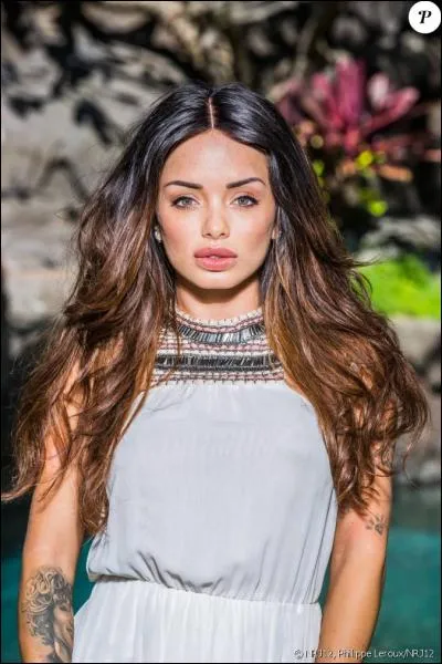 Qui est ce personnage et quel est son objectif professionnel ?