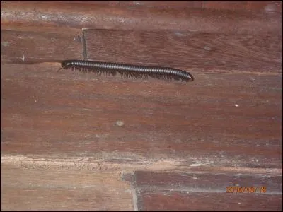 Trouvez la bonne expression !