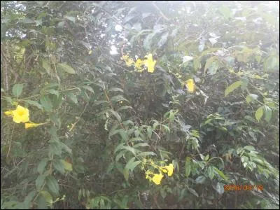 Trouvez le titre d'une s&eacute;rie t&eacute;l&eacute;vis&eacute;e, gr&acirc;ce &agrave; une couleur !