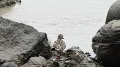 Retrouvez la bonne expression !