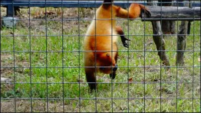 Trouvez la bonne expression !