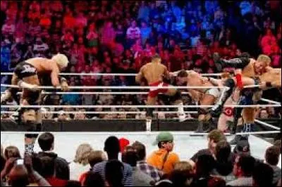 Lors du Royal Rumble Match 2016, qui a tenu le moins longtemps sur le ring ?