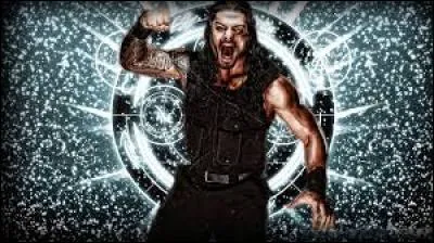 Comment s'appelle le Theme Song de Roman Reigns ?