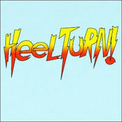 Parmi ces catcheurs, lequel a fait un Heel Turn en 2016 ?