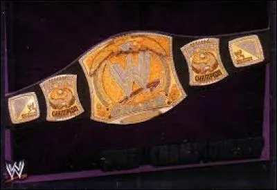 Qui est le catcheur qui a détenu le titre de champion de la WWE le plus longtemps ?