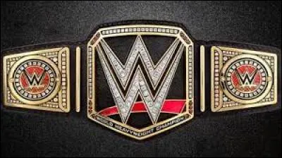 Qui est l'actuel champion du monde poids lourds de la WWE (mars 2016) ?